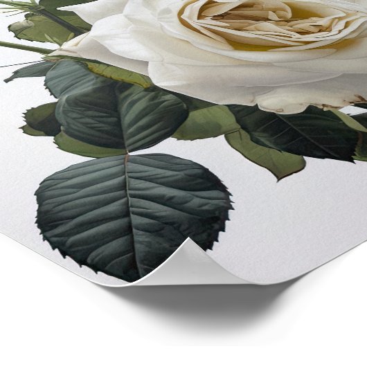 ホワイトローズフラワーアートプリントポスター ポスター (角)