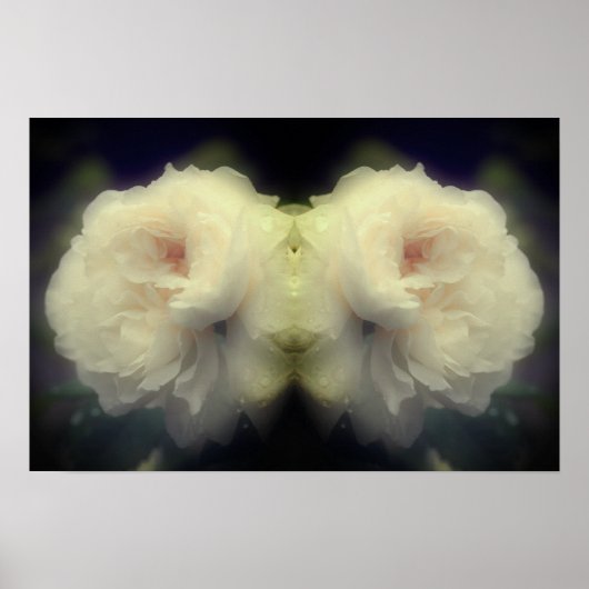 ホワイトローズフラワーインフル開花鏡抽象芸術 ポスター (正面)