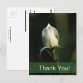 ホワイトローズブド ポストカード (正面/裏面)