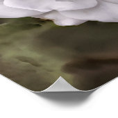 ホワイトローズホープ聖なる書物、 経典アートプリント ポスター (角)