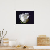 ホワイトローズポスター ポスター (キッチン)