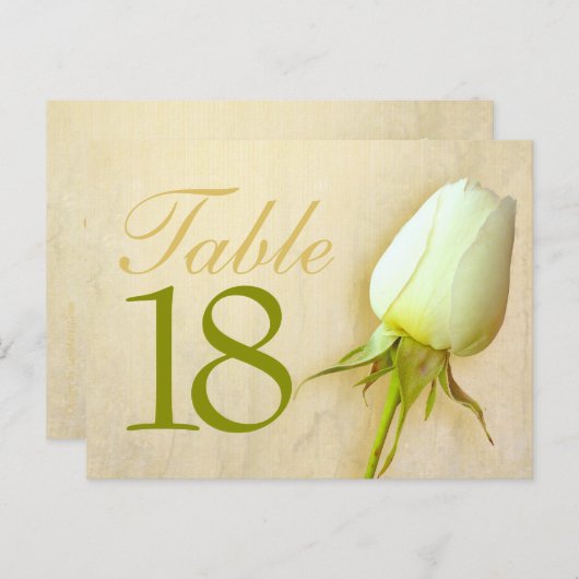 ホワイトローズ結婚バドの表番号10-39はがき ポストカード (正面/裏面)