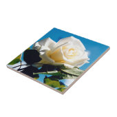 ホワイトローズ美しい タイル (側面)