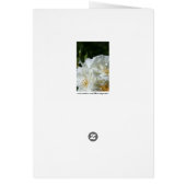 ホワイトローズ花の写真グリーティングカード (裏面)