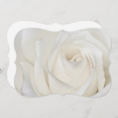 ホワイトローズ5x7招待状 招待状 (正面/裏面)