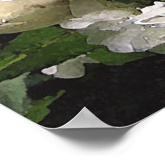 ホワイトローズ ポスター (角)