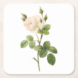 ホワイトローズ（ロザカンパニュラタアルバ）バイレッドヴェー スクエアペーパーコースター