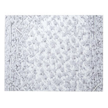 ホワイトローズB