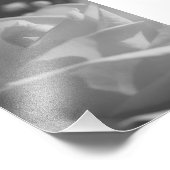 ホワイトローズB&Wフラワーフォトプリント フォトプリント (角)