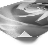 ホワイトローズB&Wフラワーフォトプリント フォトプリント (角)