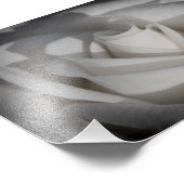 ホワイトローズB&Wフラワーフォトプリント フォトプリント            (角)