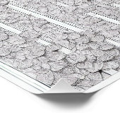 ホワイトローゼスE ポスター (コーナー)