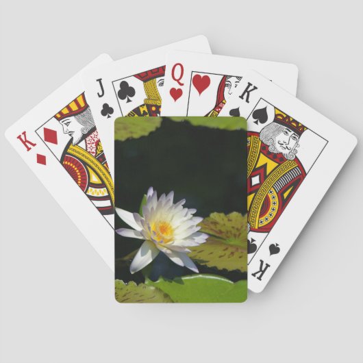 ホワイトロータス《植物》スイレンとリリーパッドトランプ トランプ (裏面)
