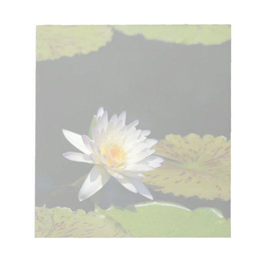 ホワイトロータス《植物》スイレン花 ノートパッド (正面)