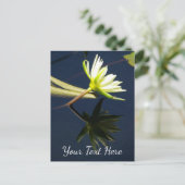 ホワイトロータス《植物》スイレン ポストカード (スタンド正面)