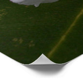 ホワイトロードデンドロン開花 ポスター (角)