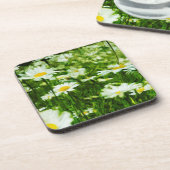 ホワイトワイルドデイジー抽象芸術 コースター (左側)