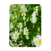 ホワイトワイルドデイジー抽象芸術 マグネット (縦)