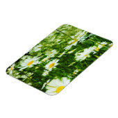 ホワイトワイルドデイジー抽象芸術 マグネット (左側)