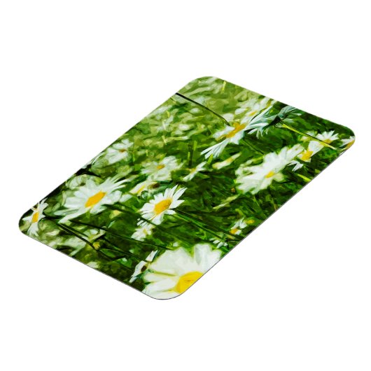 ホワイトワイルドデイジー抽象芸術 マグネット (左側)