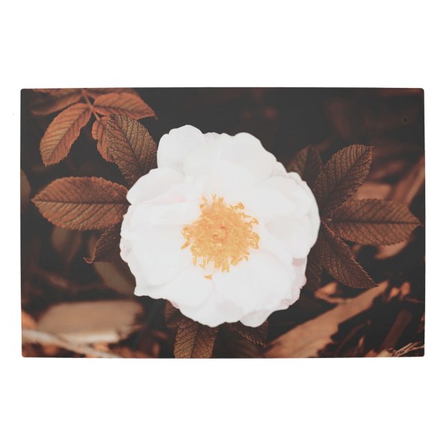 ホワイトワイルドバラオン銅トーン紅葉 メタルプリント (正面)