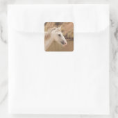 ホワイトワイルドホース スクエアシール (バッグ)