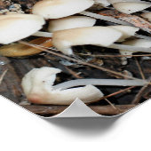 ホワイトワイルドマッシュルームクラスター鏡抽象芸術 ポスター (角)