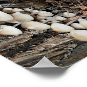 ホワイトワイルドマッシュルーム抽象芸術自然 ポスター (角)