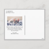 ホワイトヴィンテージ植物体フレームグレー写真 シーズンポストカード (裏面)