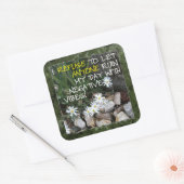 ホワイト前向き文字との滞在デイジー スクエアシール (封筒)