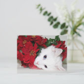 ホワイト子猫クリスマス シーズンポストカード (スタンド正面)