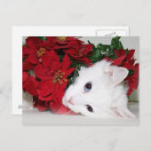 ホワイト子猫クリスマス シーズンポストカード (正面/裏面)