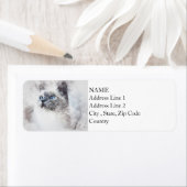 ホワイト子猫ポートレート |抽象芸術 |水彩 ラベル (インサイチュ)