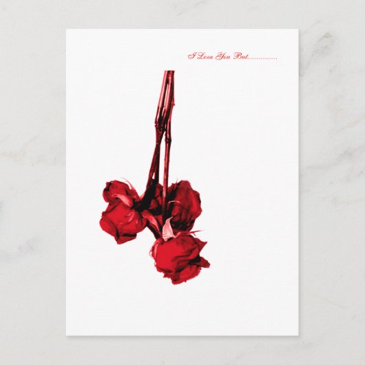 ホワイト愛してる….............. ポストカード (正面)