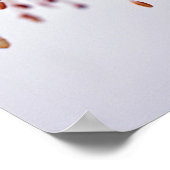 ホワイト明るい赤紫色ホークシャドサマーフラワー ポスター (角)