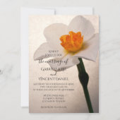 ホワイト春ダフ結婚ディル 招待状 (正面)