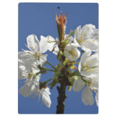 ホワイト春花 クリップボード (裏面)