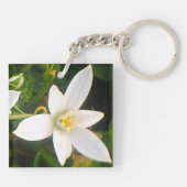 ホワイト春開花キーチェーン キーホルダー (裏面)