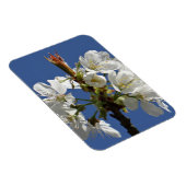 ホワイト春開花 マグネット (右側)