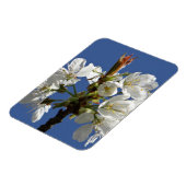 ホワイト春開花 マグネット (左側)