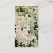 ホワイト春・ブラッズ写真名刺 名刺 (裏面)