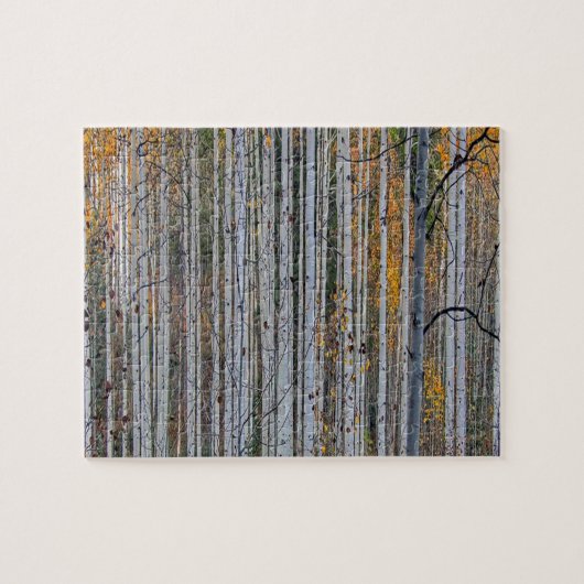 ホワイト樺の木ツリーズフォレストカントリー自然 ジグソーパズル (横)