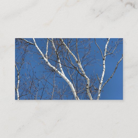 ホワイト樺の木ツリーブルースカイ自然名刺 名刺 (裏面)
