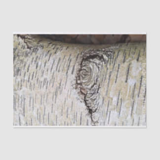 ホワイト樺の木ツリー 薄葉紙