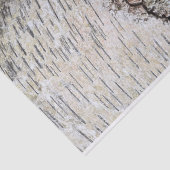 ホワイト樺の木ツリー 薄葉紙 (詳細)