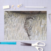 ホワイト樺の木ツリー 薄葉紙 (クラフト)