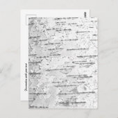 ホワイト樺の木バーク写真はがき ポストカード (正面/裏面)