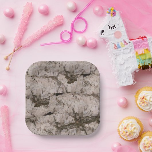 ホワイト樺の木樹皮 ペーパープレート (パーティー)