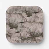 ホワイト樺の木樹皮 ペーパープレート (正面)