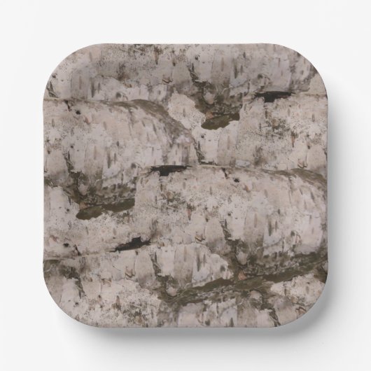 ホワイト樺の木樹皮 ペーパープレート (正面)